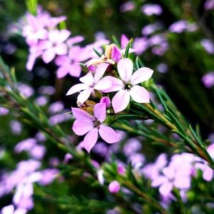 Meet your Posher, Jude